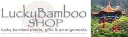 Lucky Bamboo Shop